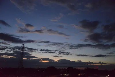 DSC_4620 (Large).JPG